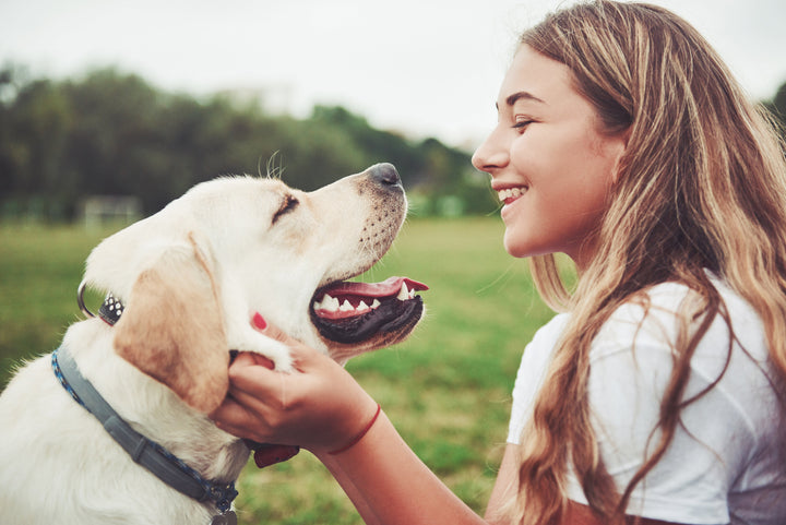 Glucosamin, MSM & Co - welche Inhaltsstoffe helfen den Gelenken des Hundes?