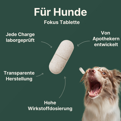 Darstellung einer CANIFEL Tablette für Hunde mit Hinweisen auf laborgeprüfte Chargen, transparente Herstellung, hohe Wirkstoffdosierung und apothekerentwickelte Rezeptur.