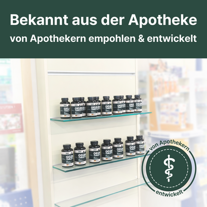 CANIFEL Gelenktabletten Hund Apotheker Rezeptur mit Grünlippmuschel, Glucosamin & MSM 13-in-1 komplex - 90 Stück Premium Gelenkschutz
